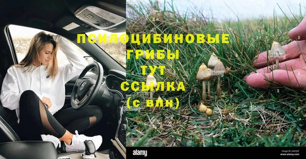прущий лед Алексеевка